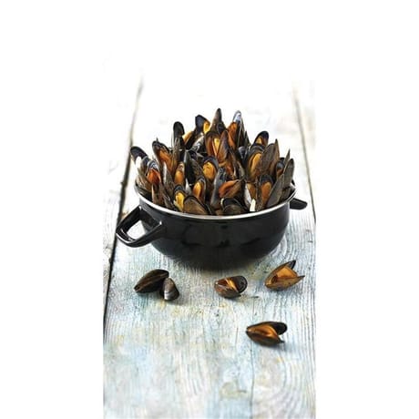 Moule de corde bio espagne 1.4 kg