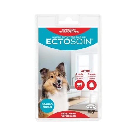 Ectosoin collier antiparasitaire chat l 240 jours