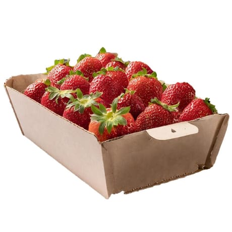 Fraise ronde barquette 500g carrefour le marché
