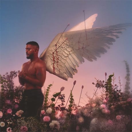 Cd slimane chroniques d'un cupidon