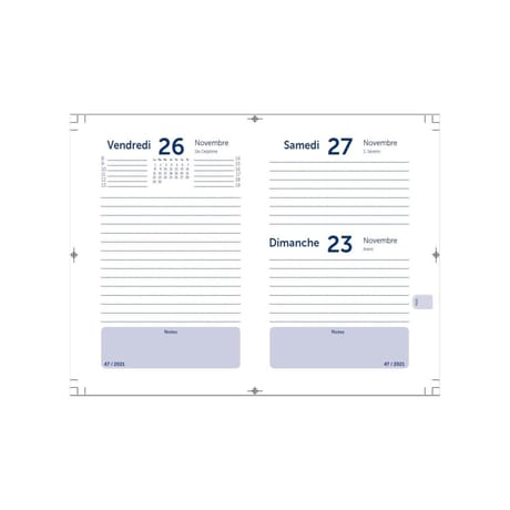 Universal agenda journalier minions