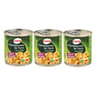 Cora champignons de Paris pieds et morceaux 3 x 115g