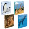 Animaux sauvage Nature future classeur a4 21x29.7 cm 4 anneaux