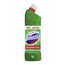 Domestos gel nettoyant wc 100% desinfectant fraicheur alpine 1l
