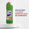 Domestos gel nettoyant wc 100% desinfectant fraicheur alpine 1l