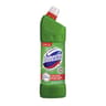 Domestos gel nettoyant wc 100% desinfectant fraicheur alpine 1l
