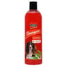 Riga shampooing insectifuge 500ml