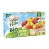Pom'Potes compotes gourdes bio pomme nature 12x90g