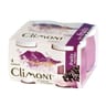 Climont yaourt au lait de montagne aux myrtilles 4x125g