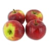 Pomme elstar