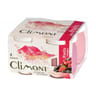 Climont yaourt aux fruits rouges 4x125g
