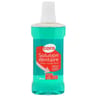 Cora solution dentaire verte 500ml