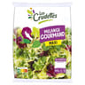 Les crudettes salade mélange gourmand maxi sachet 320g