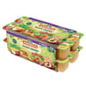 Andros dessert de pommes nature, vanille fraise, pêche 16x100g