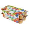 Andros spécialité de pommes nature 16x100g sans sucres ajoutés