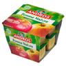 Andros dessert de pommes natures 8x100g