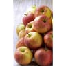 Pomme gala mini colis 3kg