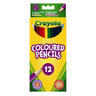12 Crayons de couleur