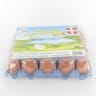 18 oeufs sol