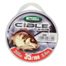Nylon spécial carpe 300m 35/100 Royal fish