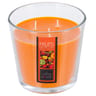 Bougie verre parfum fruits exotique 500g