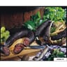 Saucisse noire de la fôret noire