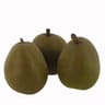 Poire Angelys