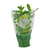 Menthe bio