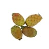 Figues Barbarie le kilo
