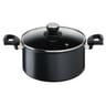 Tefal faitout (5 L) + couvercle verre - Tous feux dont induction 24 cm