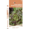 France graines laitue batavia rouge grenobloise