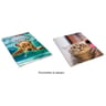 Clementina frog pochette rabats animaux humour 24x32cm