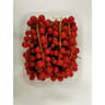 Groseille rouge barquette 125g