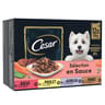 Cesar pâtée pour chien 4 variétés en sauce 12x100g
