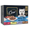 Cesar pâtée pour chien senior 4 variétés en gelée 12x100g