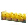 Boite de 10 poussins "en chenille" h5cm