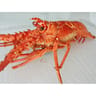 Langouste cuite