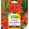 Vita Vilmorin capucine lobb rouge