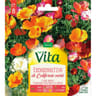 Vita Vilmorin eschscholtzia californie mix