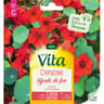 Vita Vilmorin capucine boule feu