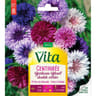 Vita Vilmorin centauree barbeau bleuet