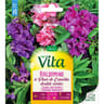 Vita Vilmorin balsamine camelia  mix
