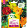 Vita Vilmorin cosmos sulphureus varie