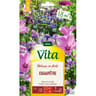 Vita Vilmorin melange fleur champetre  8m2