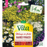Vita Vilmorin melange fleurs naine vivace 4m2