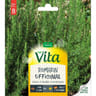 Vita vilmorin romarin officinal