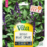 Vita Vilmorin basilic blue spice
