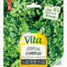 Vita Vilmorin cerfeuil commun