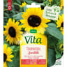 Vita Vilmorin tournesol sunstatic