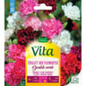 Vita Vilmorin oeillet fleur double mix
